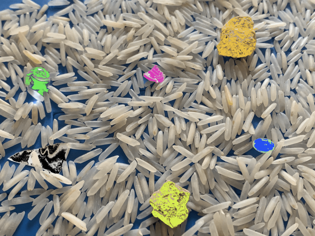 Glass Stone wax plastic contaminent in rice graded