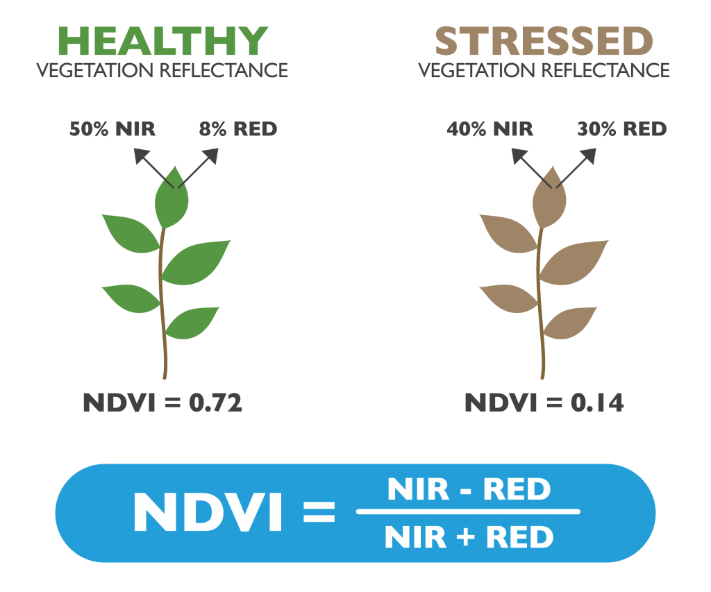 NDVI_healthy_stressed Plant