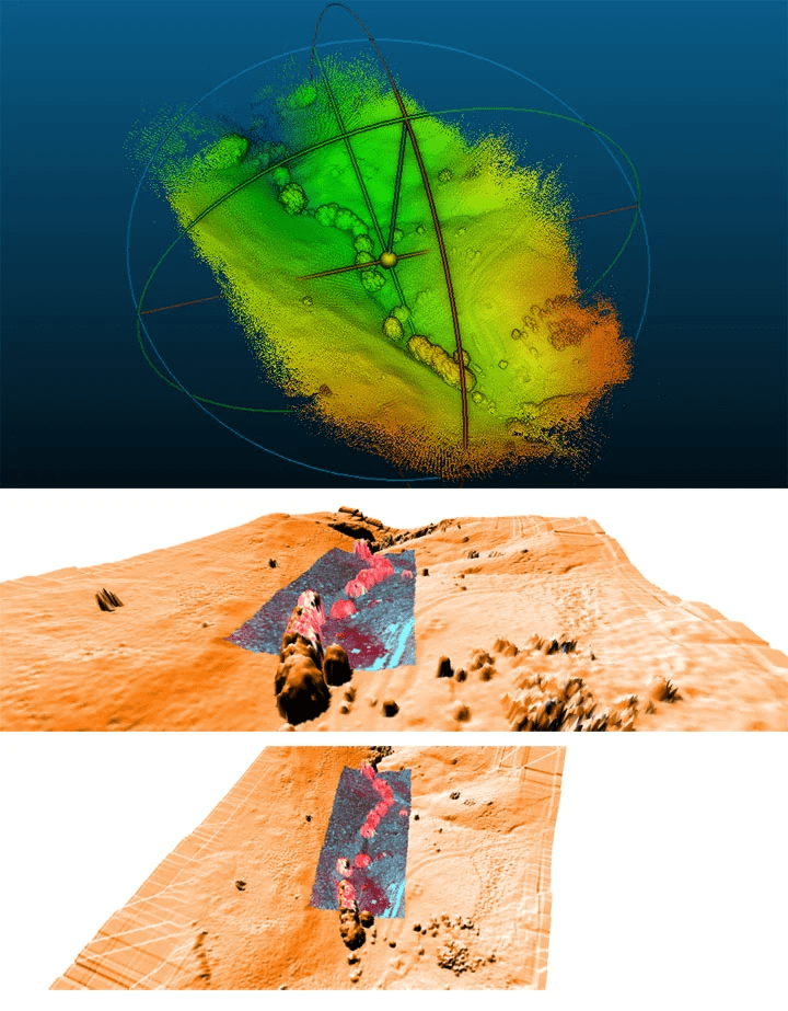Phenotyping landscape with trees and LIDAR