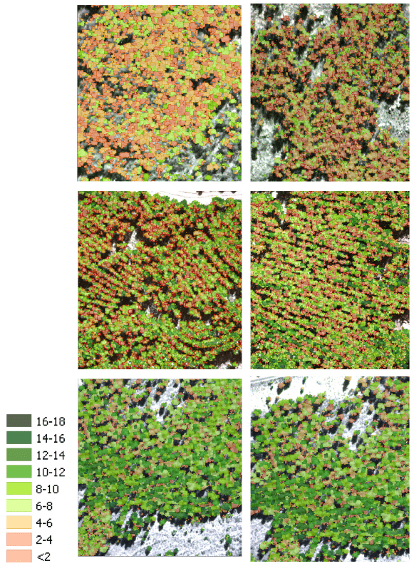 Carotenoid content estimation in a heterogeneous conifer forest using narrow-band indices and PROSPEC[...]