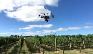 hyperspectral phenotyping field drone
