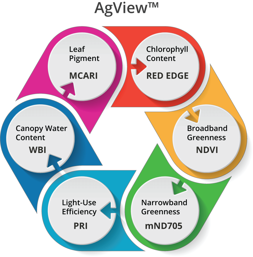 plant phenotyping software