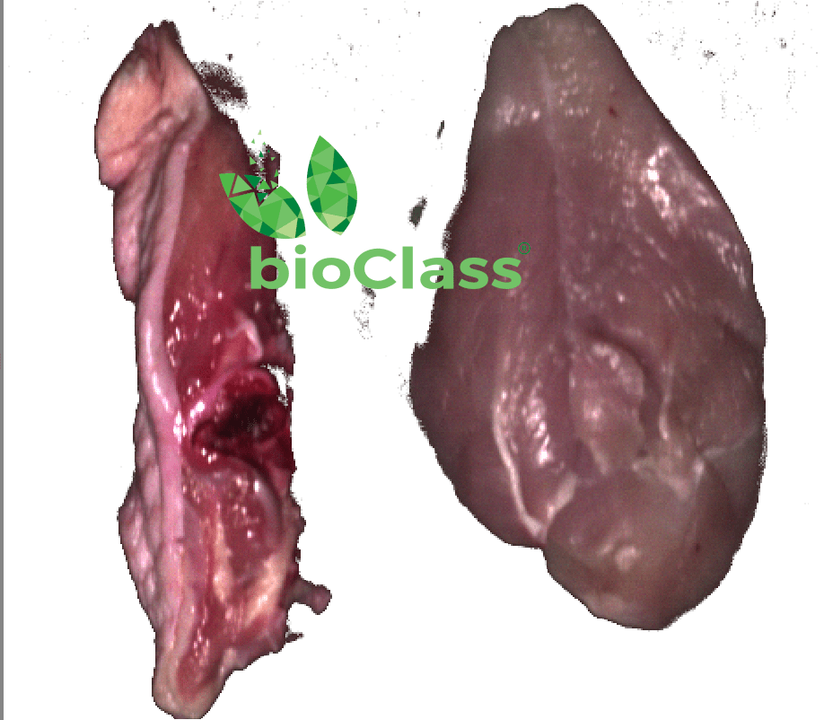 Detection of fat skin bone blood spots in chicken breast before test