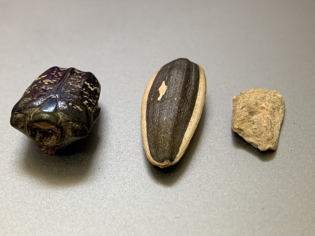 Sunflower seed bug stone sorting system