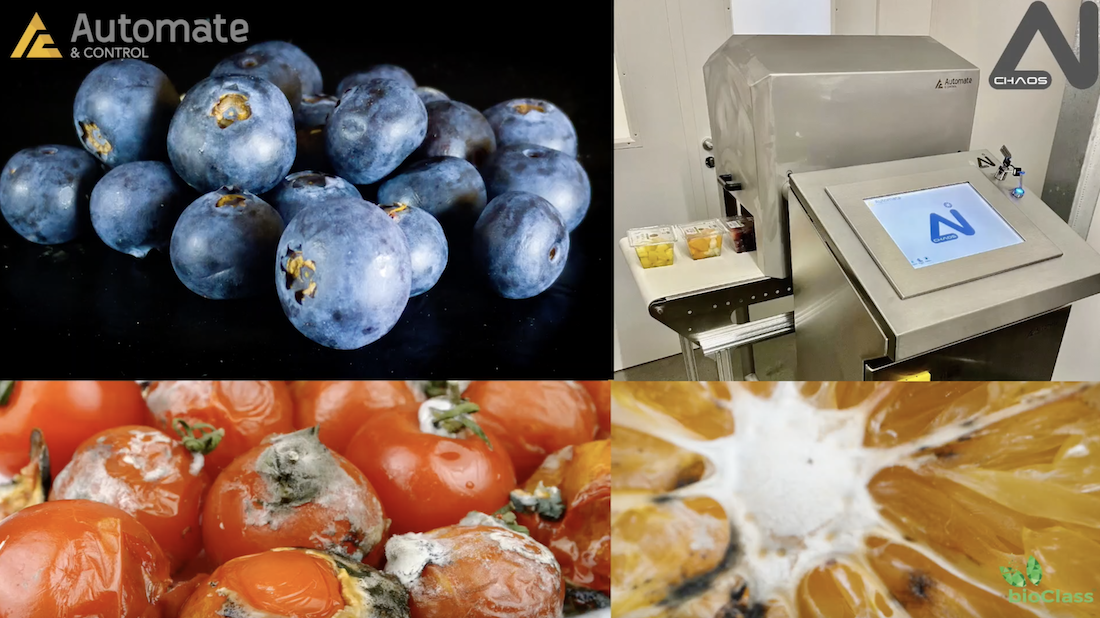 Predictive shelf life technology